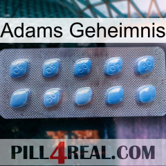 Adams Secret viagra3